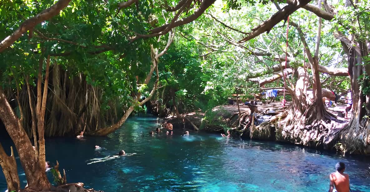 Kikuletwa Hot Springs: Day Leisure Excursion
