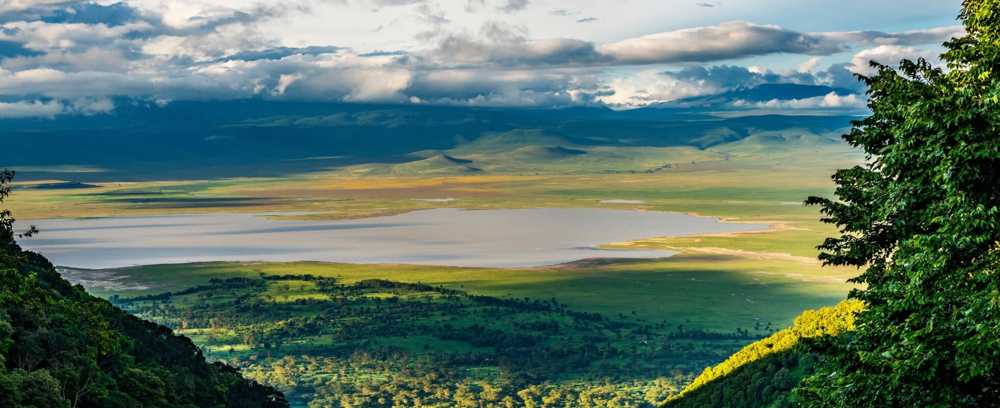 Ngorongoro Conservation Area: Crater Floor Day Excursion
